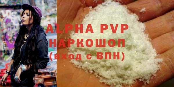 индика Балахна