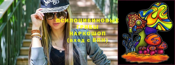 индика Балахна
