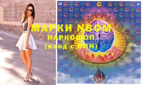 индика Балахна